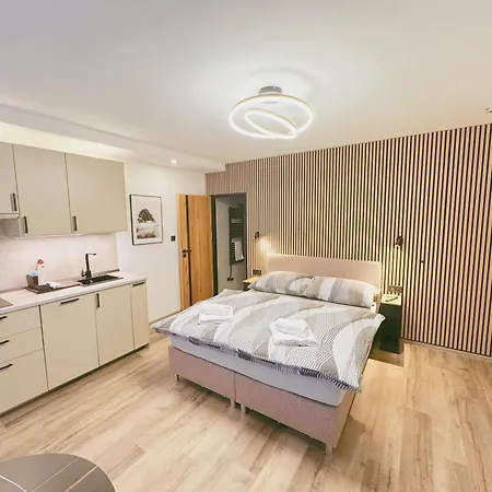 Ubytování v Brně Brno Exteriér fotografie