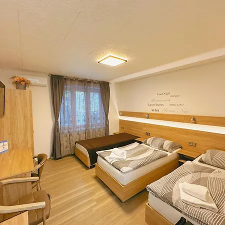 Ubytování v Brně Brno Exteriér fotografie